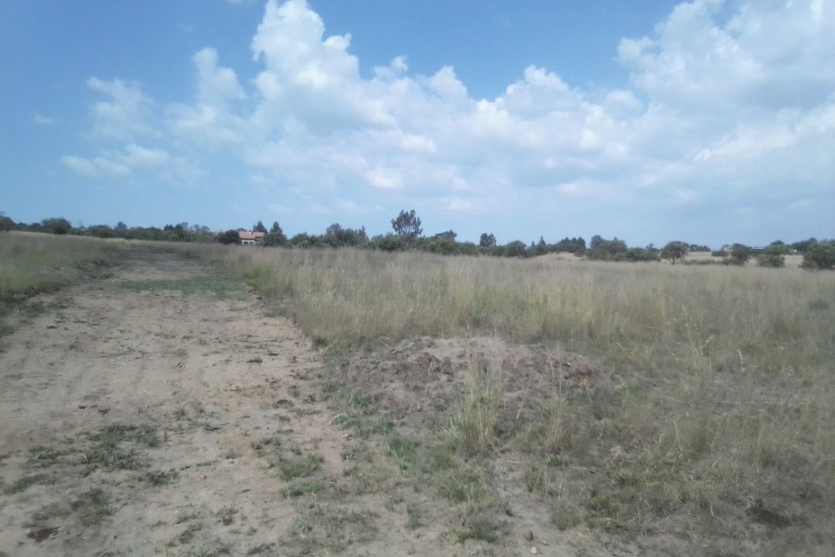 TEN HECTARES VACANT LAND FOR RENTAL - Photo 4