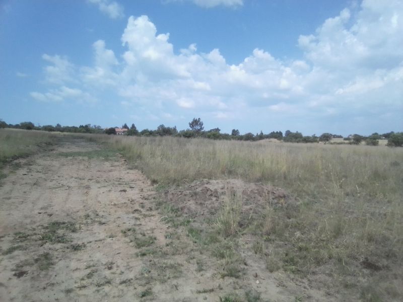 TEN HECTARES VACANT LAND FOR RENTAL - Photo 4