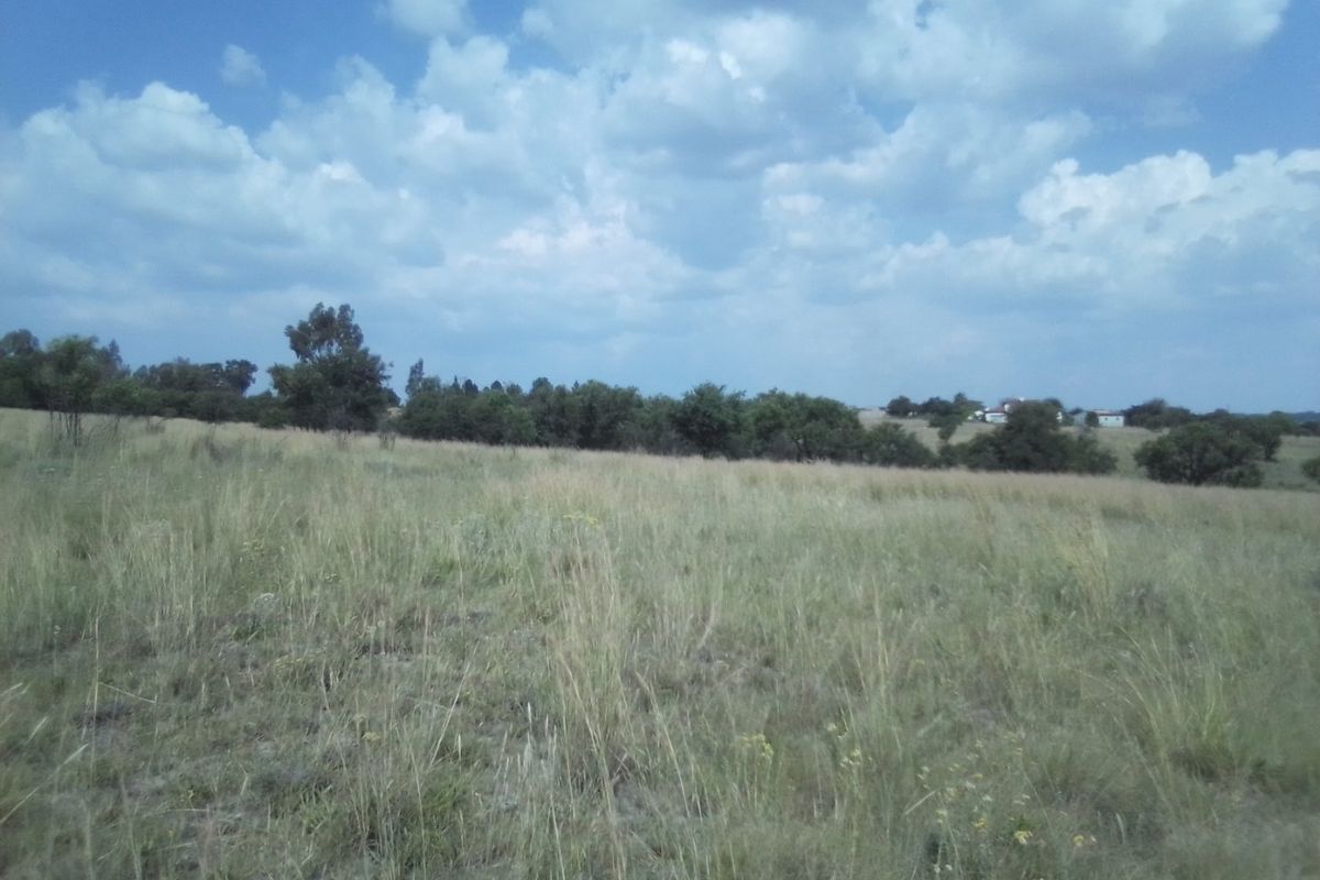 30 HECTARES VACANT AGRICULTURE FARM LAND FOR RENTAL - Photo 4