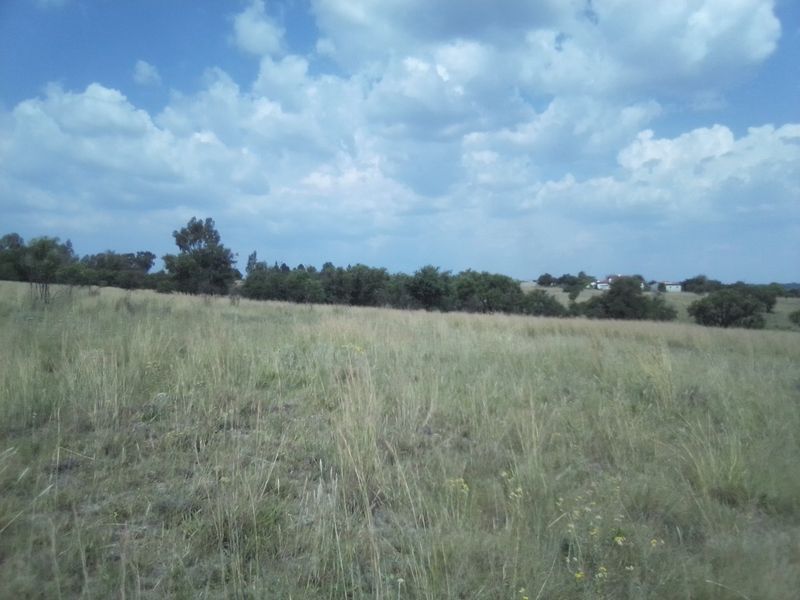 30 HECTARES VACANT AGRICULTURE FARM LAND FOR RENTAL - Photo 4