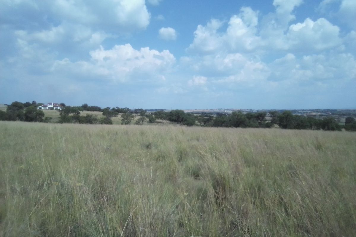 30 HECTARES VACANT AGRICULTURE FARM LAND FOR RENTAL - Photo 2