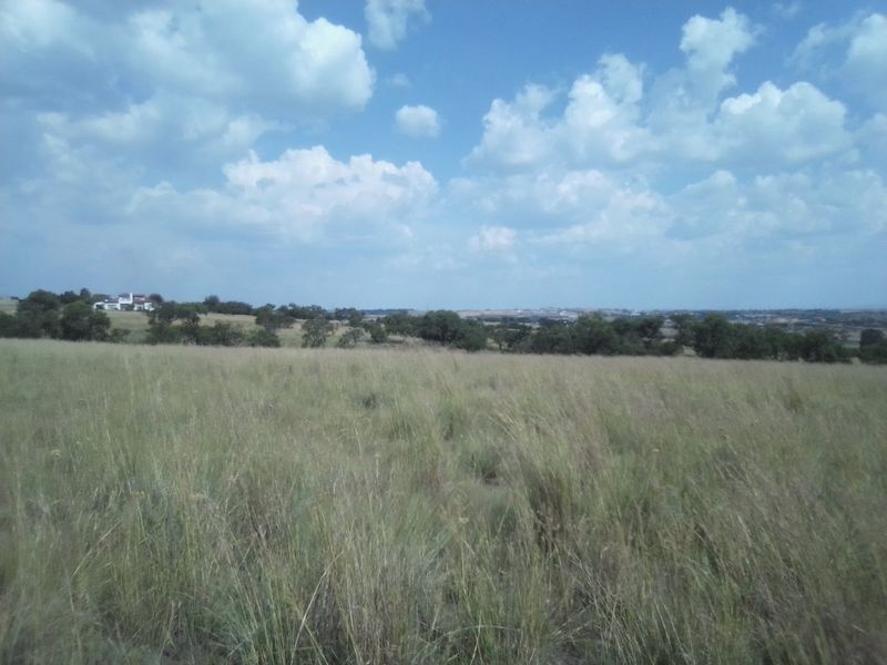 30 HECTARES VACANT AGRICULTURE FARM LAND FOR RENTAL - Photo 2
