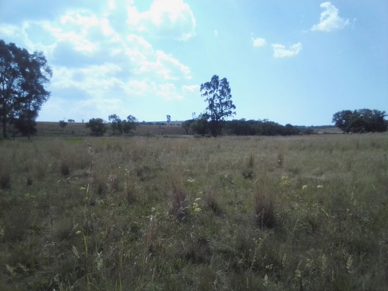 30 HECTARES VACANT AGRICULTURE FARM LAND FOR RENTAL - Photo 10