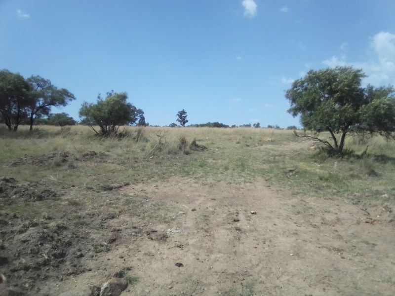30 HECTARES VACANT AGRICULTURE FARM LAND FOR RENTAL - Photo 9