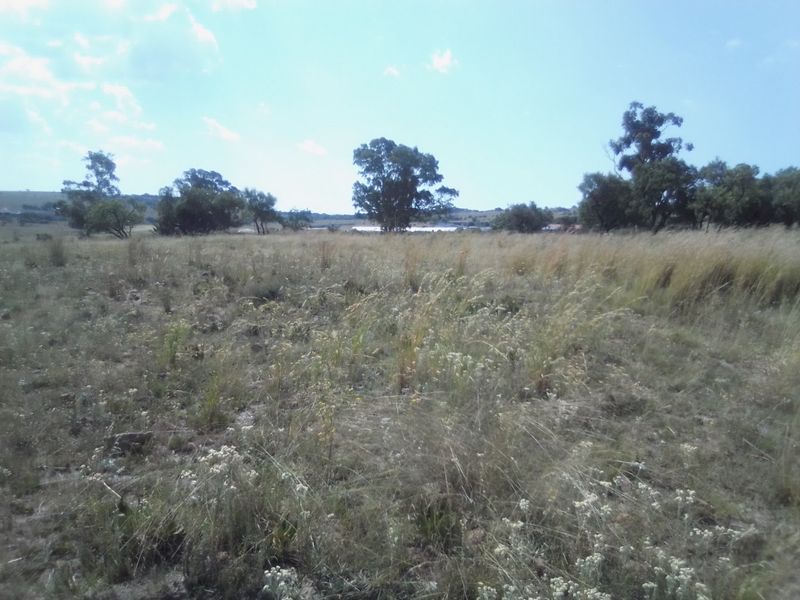 30 HECTARES VACANT AGRICULTURE FARM LAND FOR RENTAL - Photo 8