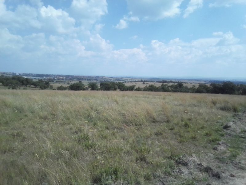 30 HECTARES VACANT AGRICULTURE FARM LAND FOR RENTAL - Photo 7