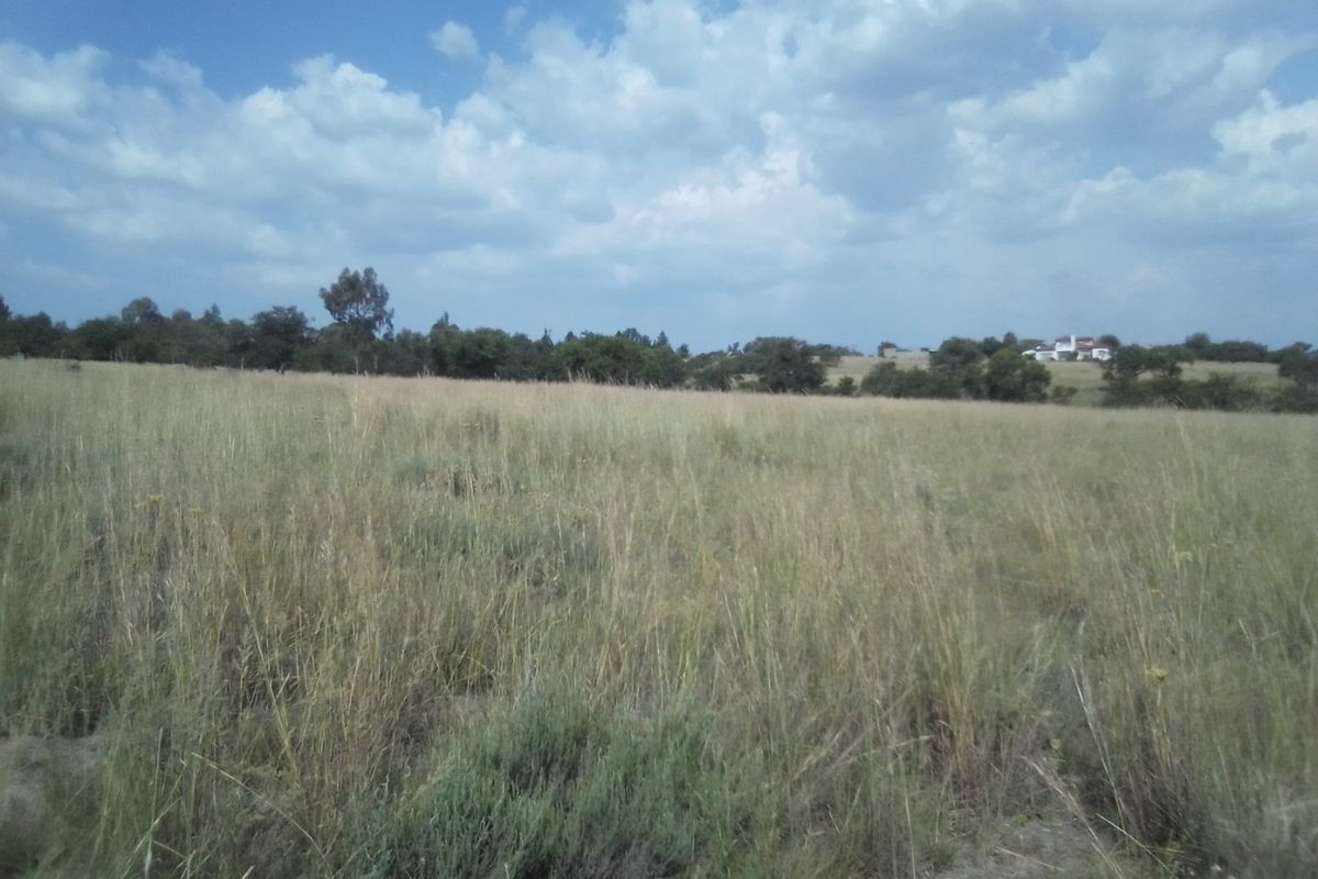 30 HECTARES VACANT AGRICULTURE FARM LAND FOR RENTAL - Photo 3