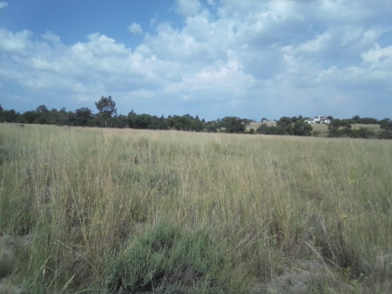 30 HECTARES VACANT AGRICULTURE FARM LAND FOR RENTAL - Photo 3