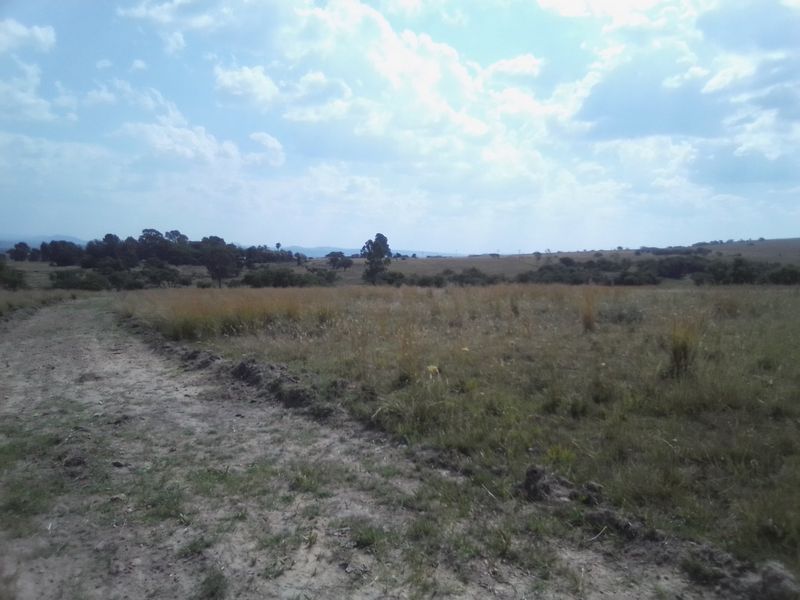30 HECTARES VACANT AGRICULTURE FARM LAND FOR RENTAL - Photo 6