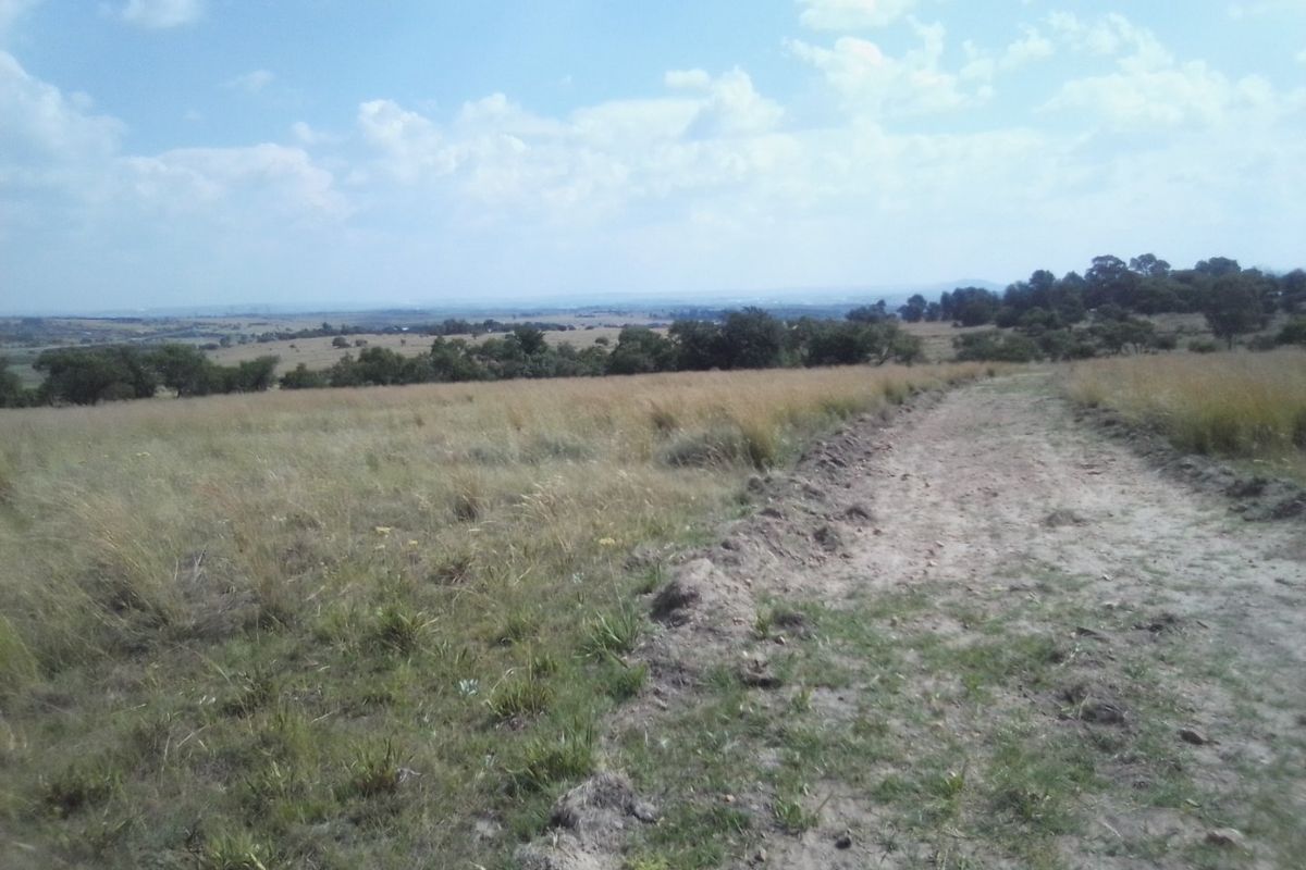 30 HECTARES VACANT AGRICULTURE FARM LAND FOR RENTAL - Photo 5