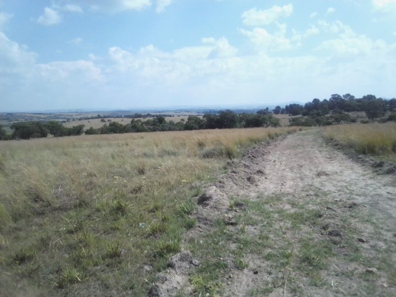 30 HECTARES VACANT AGRICULTURE FARM LAND FOR RENTAL - Photo 5