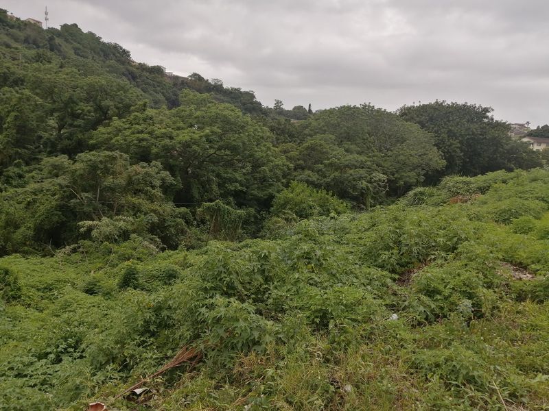 Vacant land for Sale in Silverglen  - Photo 8