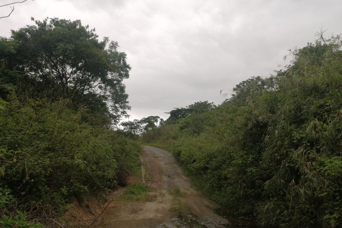 Vacant land for Sale  - Photo 4