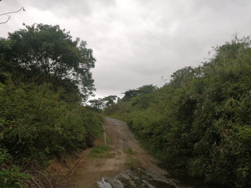 Vacant land for Sale  - Photo 4