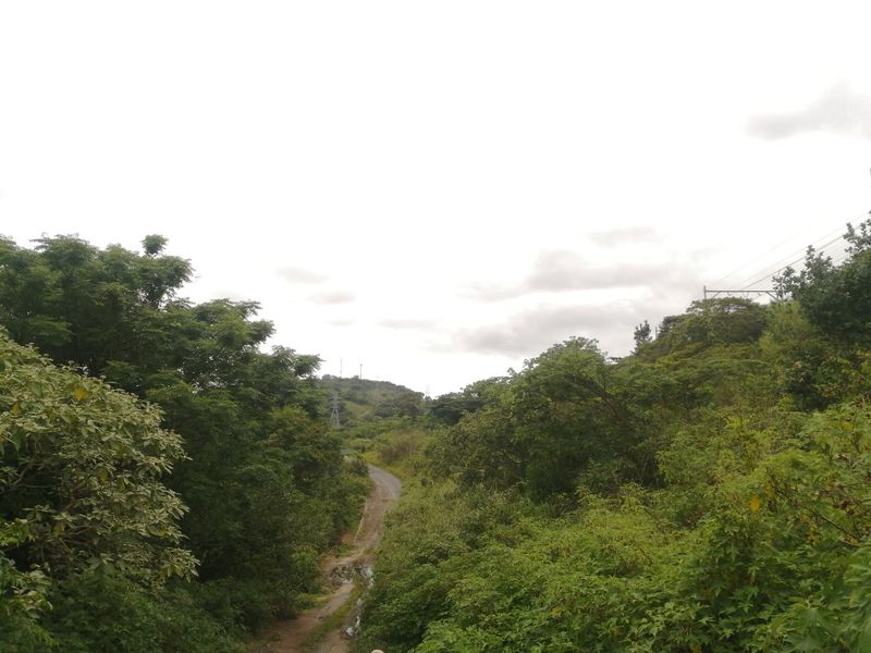 Vacant land for Sale  - Photo 10