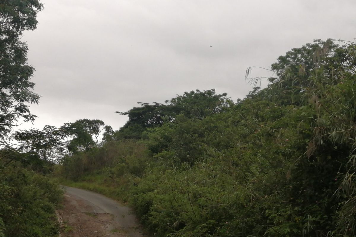 Vacant land for Sale  - Photo 2