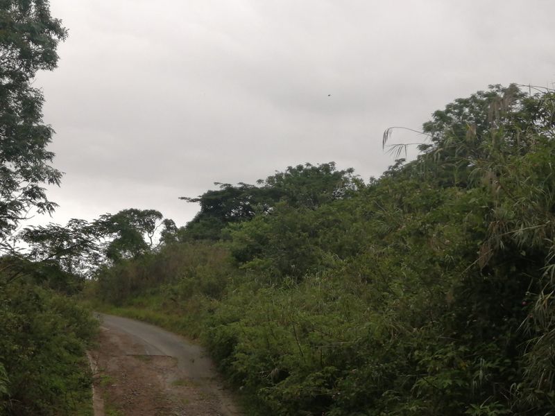 Vacant land for Sale  - Photo 2