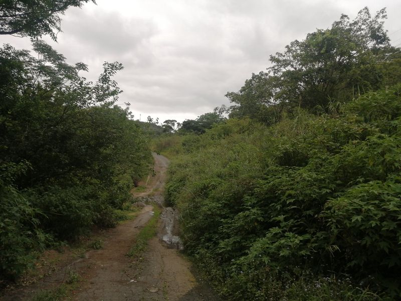 Vacant land for Sale  - Photo 7