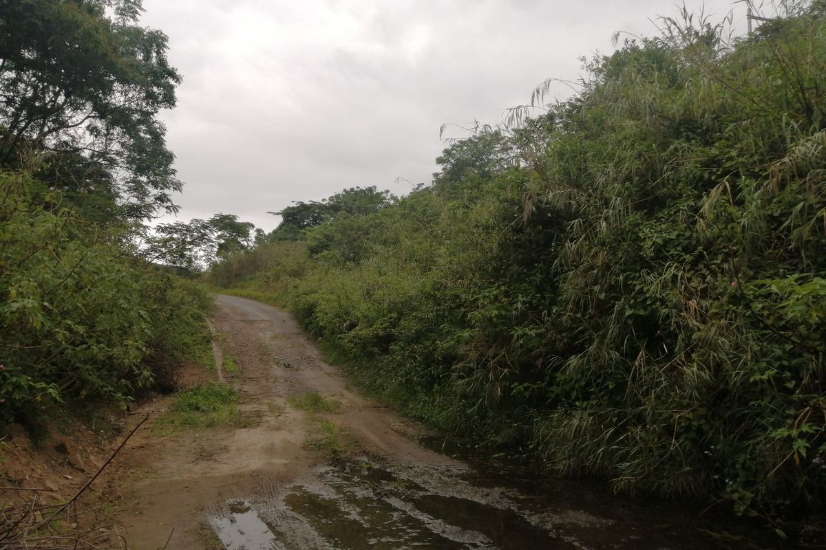 Vacant land for Sale  - Photo 5