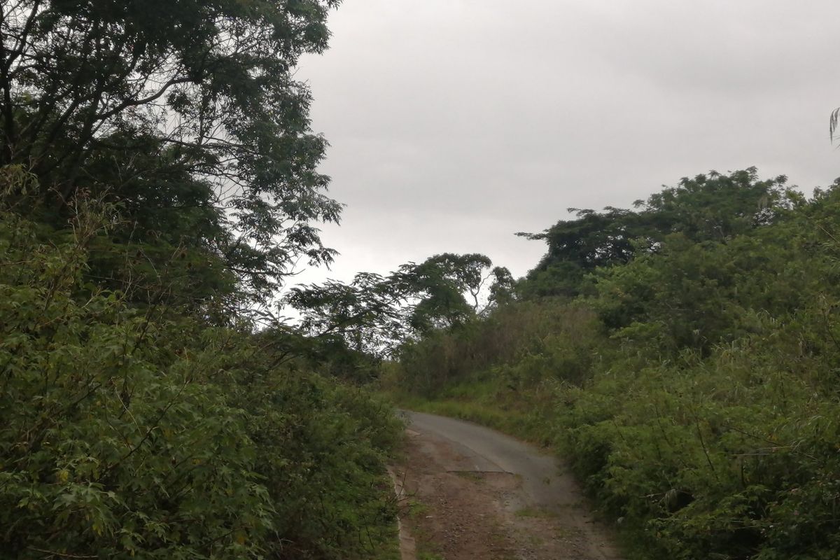Vacant land for Sale  - Photo 3