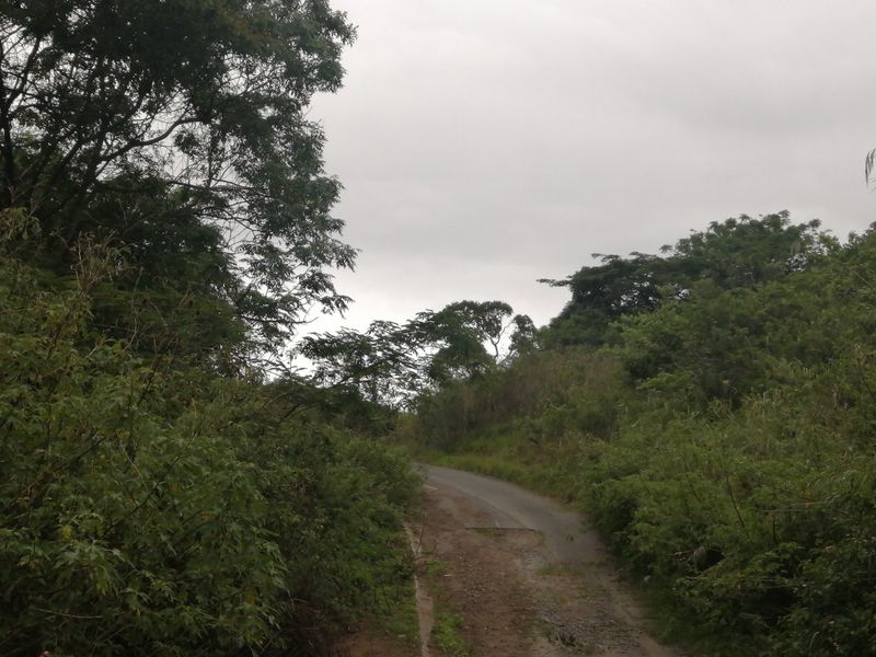 Vacant land for Sale  - Photo 3