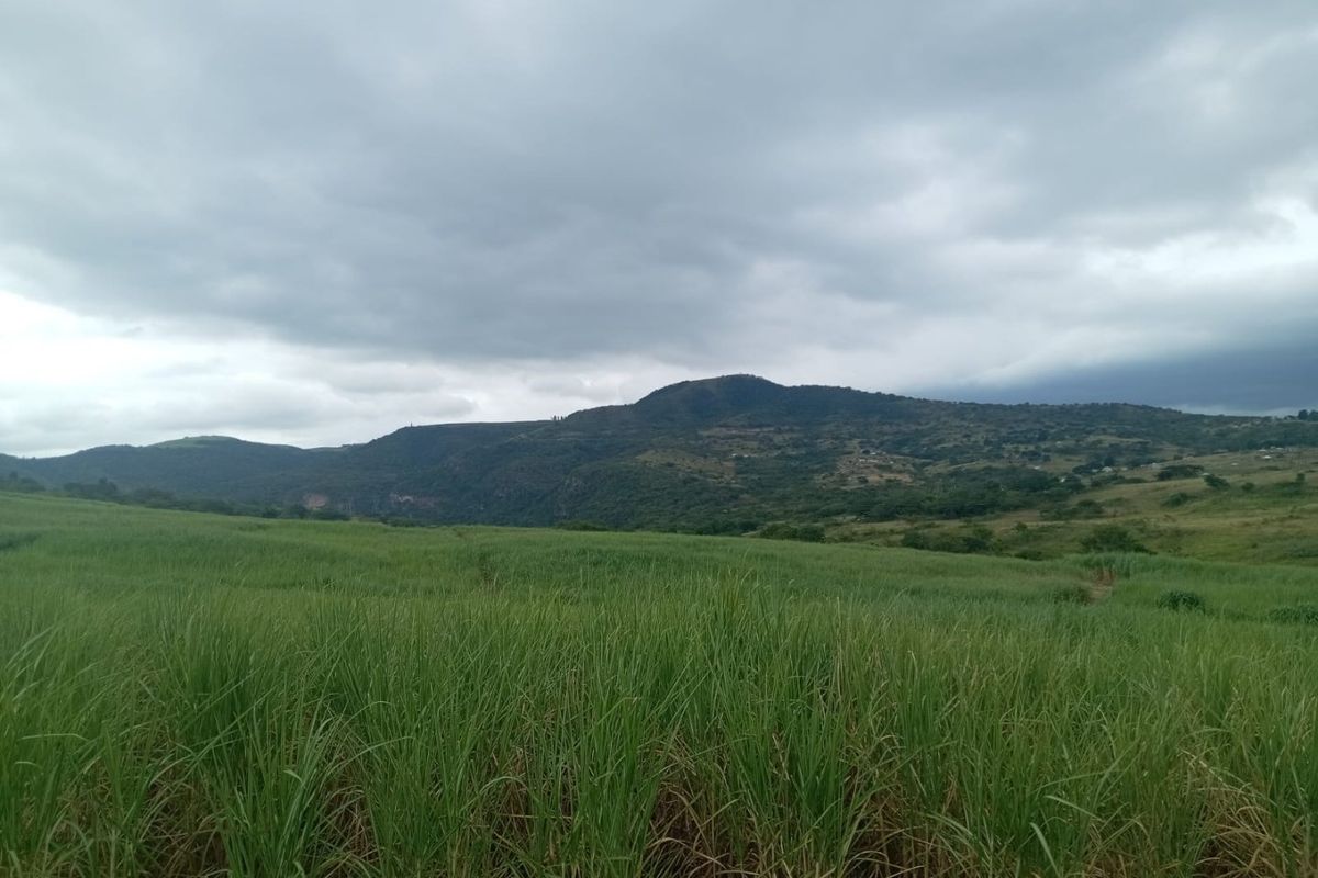 0 Bed Farm in Stanger Central for Sale - Photo 3