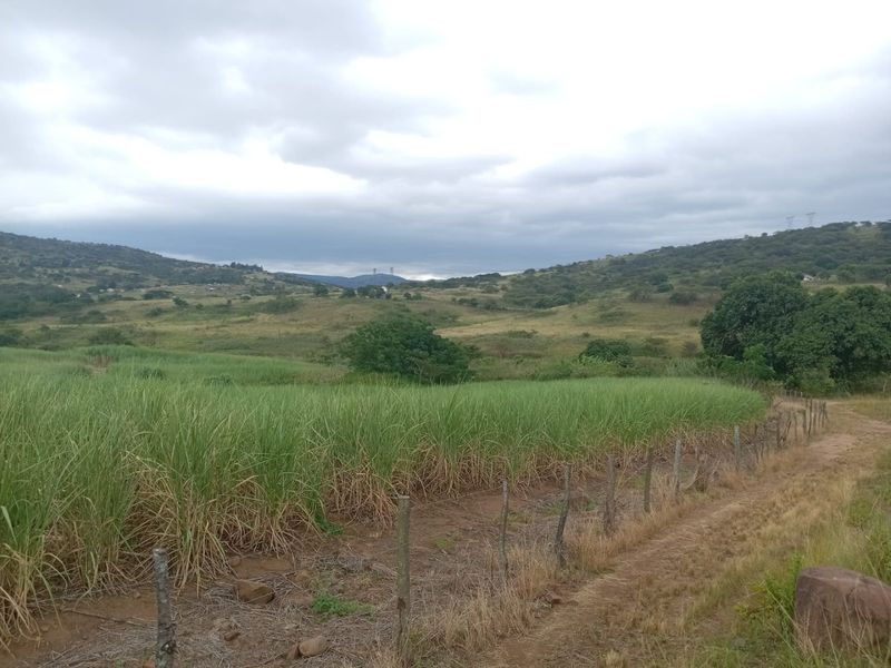 0 Bed Farm in Stanger Central for Sale - Photo 7