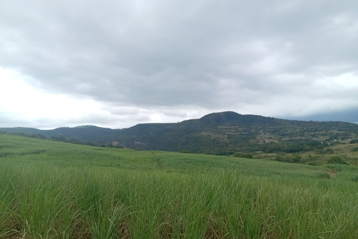 0 Bed Farm in Stanger Central for Sale - Photo 2