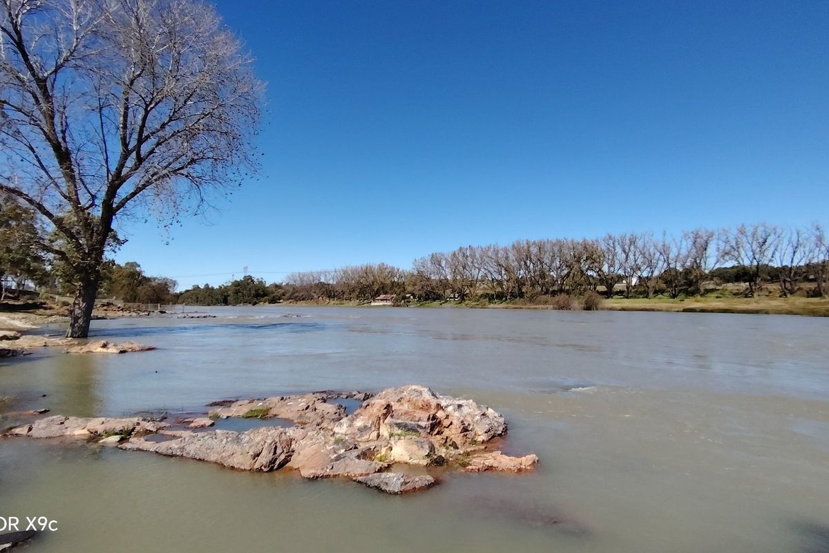 Exceptional Riverfront Smallholding in Midvaal. - Photo 3