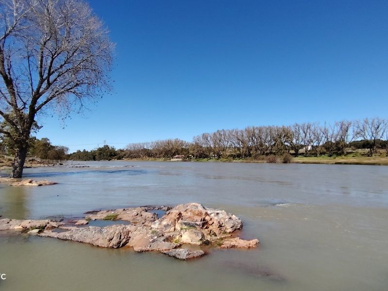 Exceptional Riverfront Smallholding in Midvaal. - Photo 3