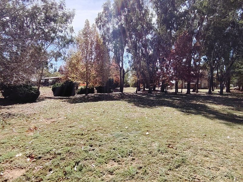 Exceptional Riverfront Smallholding in Midvaal. - Photo 7