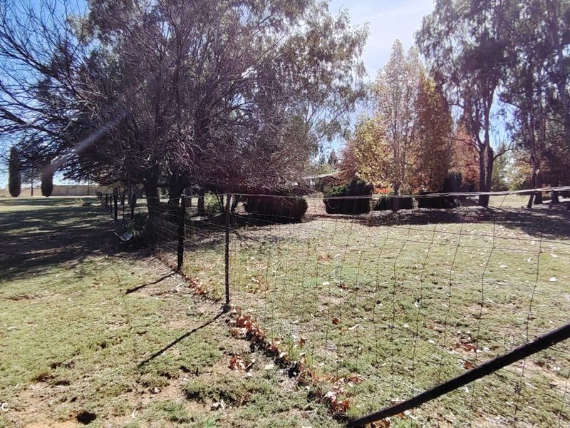 Exceptional Riverfront Smallholding in Midvaal. - Photo 6
