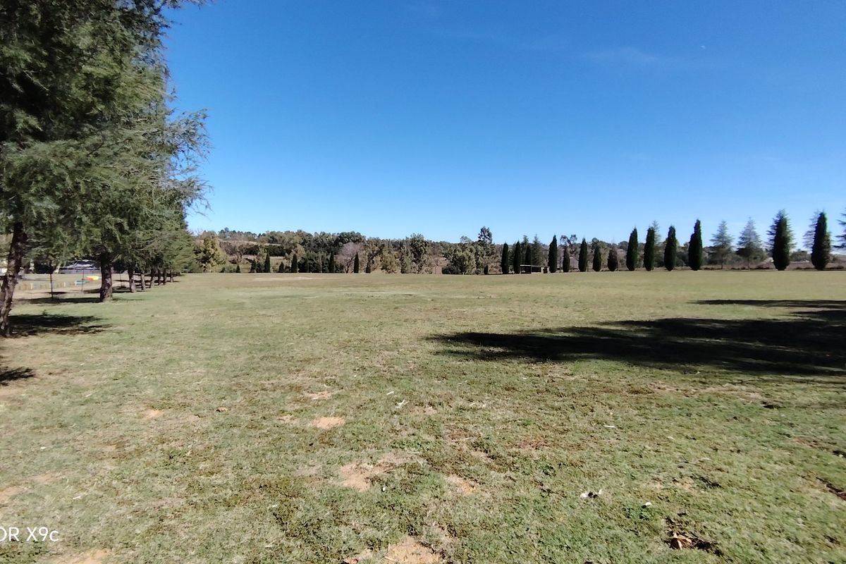Exceptional Riverfront Smallholding in Midvaal. - Photo 4