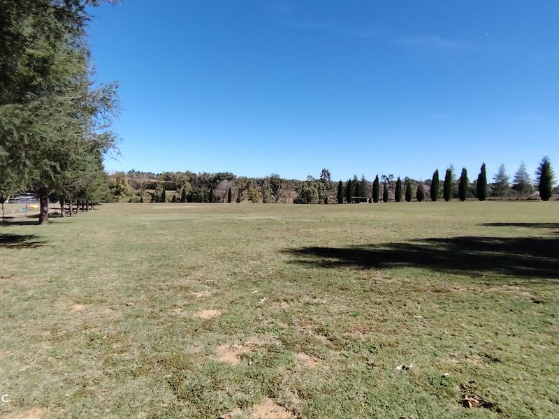 Exceptional Riverfront Smallholding in Midvaal. - Photo 4