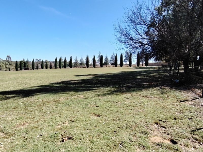 Exceptional Riverfront Smallholding in Midvaal. - Photo 5