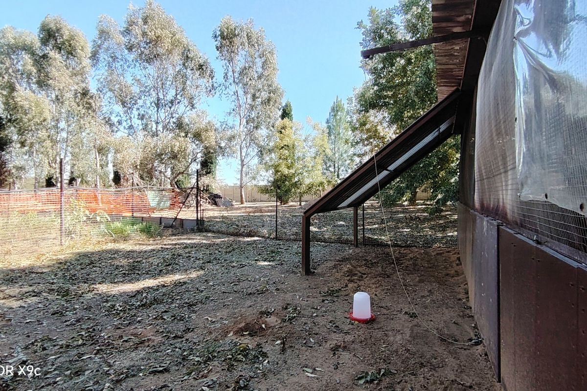 A view of a farm yard area featuring a simple metal lean-to structure, wire mesh fencing, and open ground space.