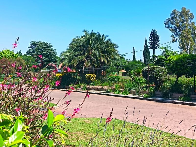 A view of the property's paved driveway and well-maintained landscaped garden area with mature trees and perimeter fencing.