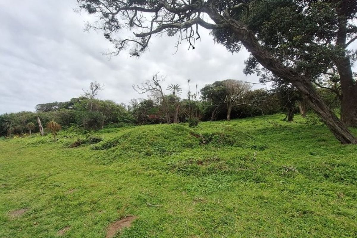 Vacant land in Umzumbe - Photo 5