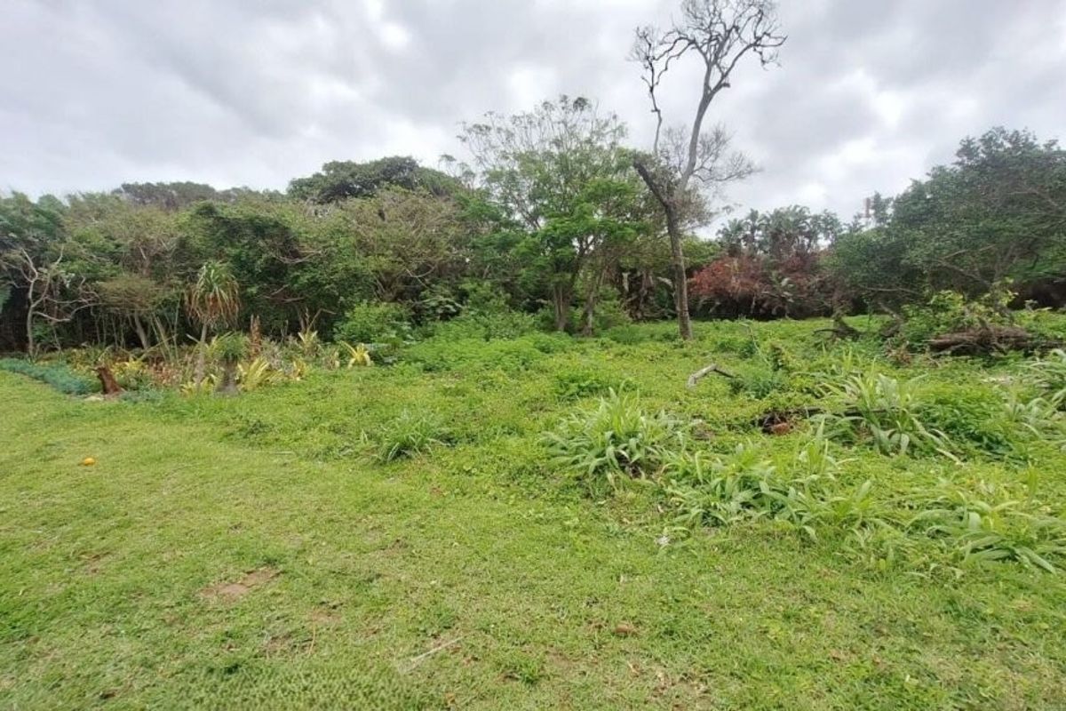A view of a vacant residential plot featuring established trees and natural vegetation, offering a blank canvas for future development.