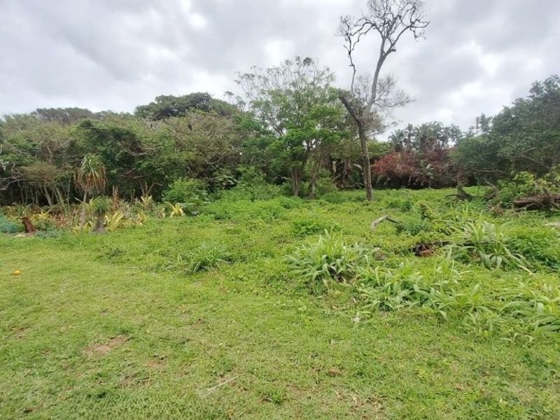 A view of a vacant residential plot featuring established trees and natural vegetation, offering a blank canvas for future development.