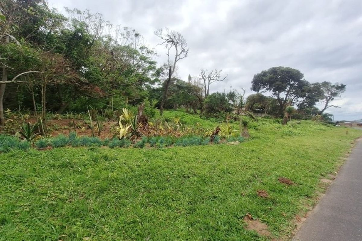 A street-level view of a vacant residential plot featuring a grass verge and sloped terrain adjacent to an asphalt road.
