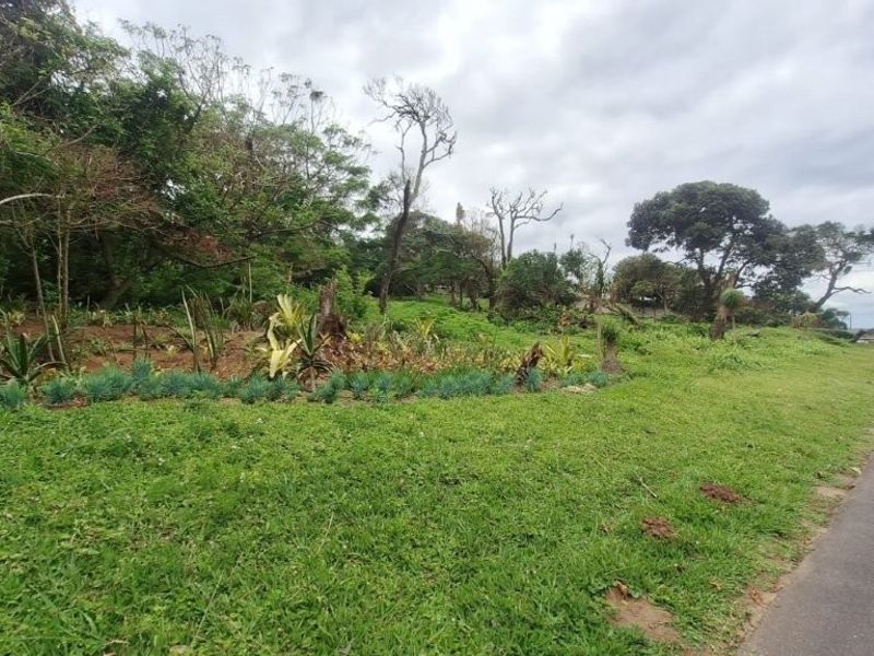 A street-level view of a vacant residential plot featuring a grass verge and sloped terrain adjacent to an asphalt road.