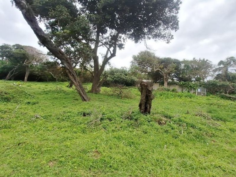A view of a vacant residential plot featuring established trees and natural grass coverage.