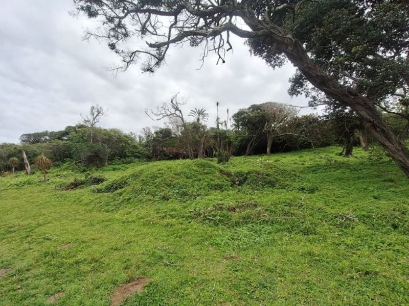 A view of a vacant residential plot featuring mature trees and natural grass coverage on a sloped landscape.