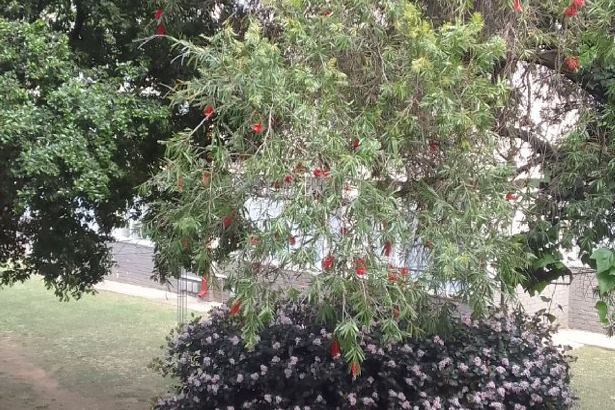Secure living - Photo 2