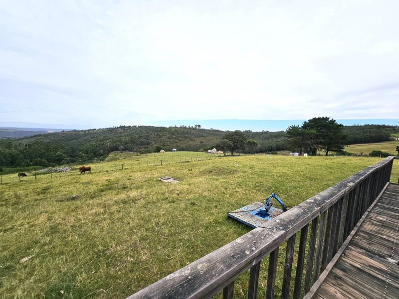 Escape to “Die Krans” – 7.490ha Lifestyle Farm in the Heart of Nature - Photo 10