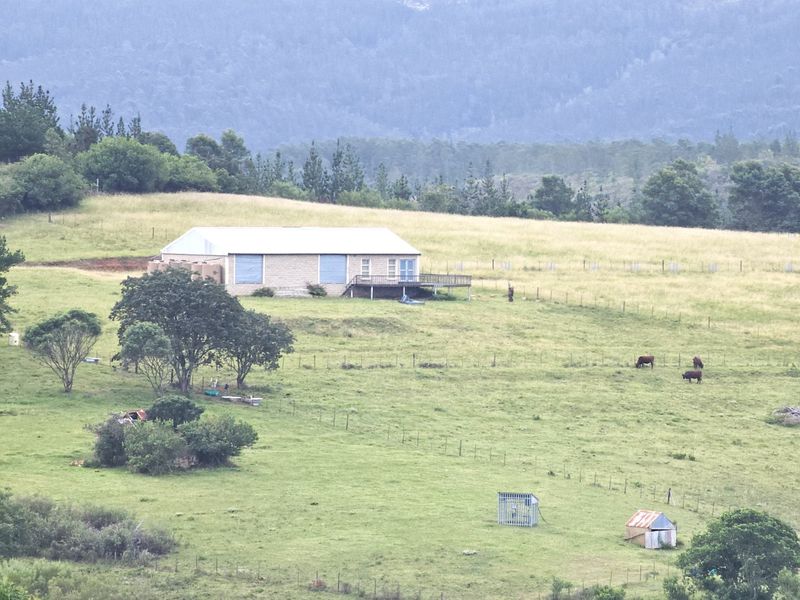 Escape to “Die Krans” – 7.490ha Lifestyle Farm in the Heart of Nature - Photo 1