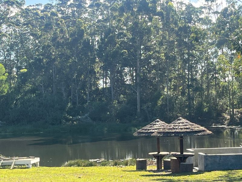 5.96 Hectare Income Generating Small Holding - Photo 9