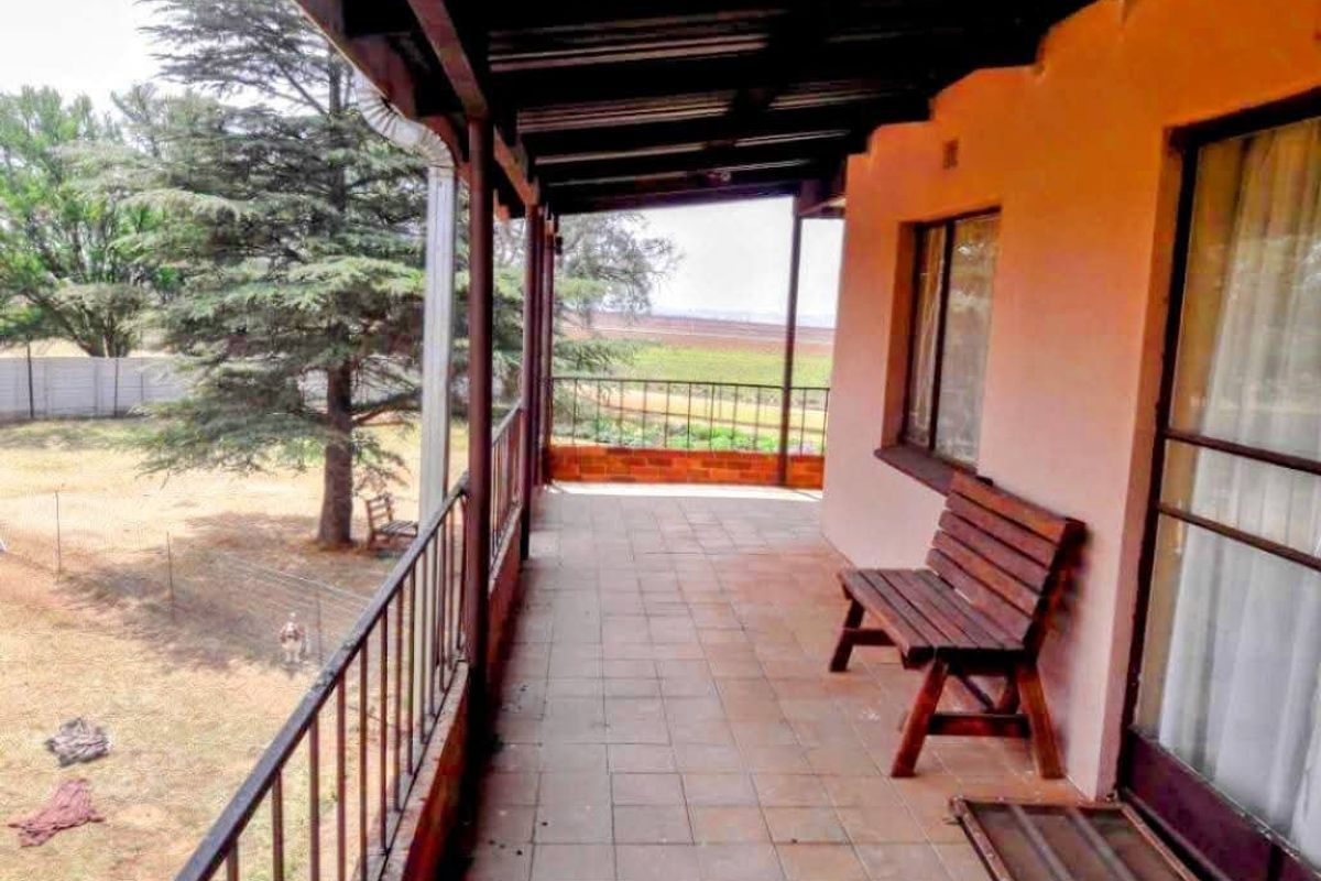 FOR SALE:- ELOFF--DELMAS - SMALL HOLDING---R1.9M  - Photo 4