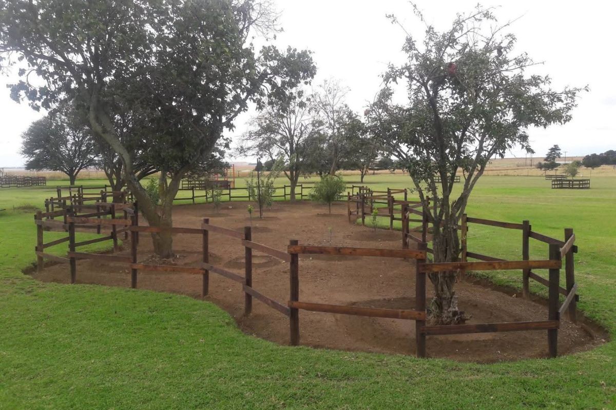 FOR SALE:- ELOFF--DELMAS - SMALL HOLDING---R1.9M  - Photo 3
